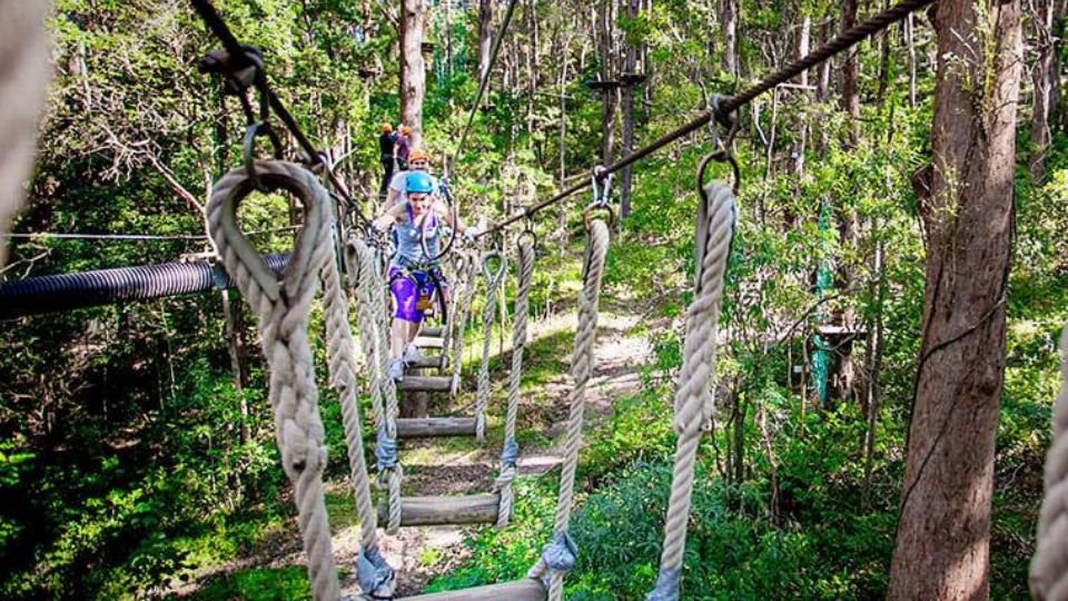 High Ropes Adventure Park