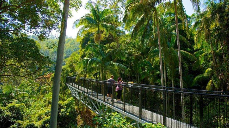 National Parks in Gold Coast